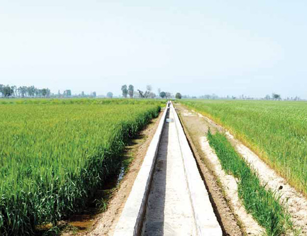 A-Study-in-Leadership